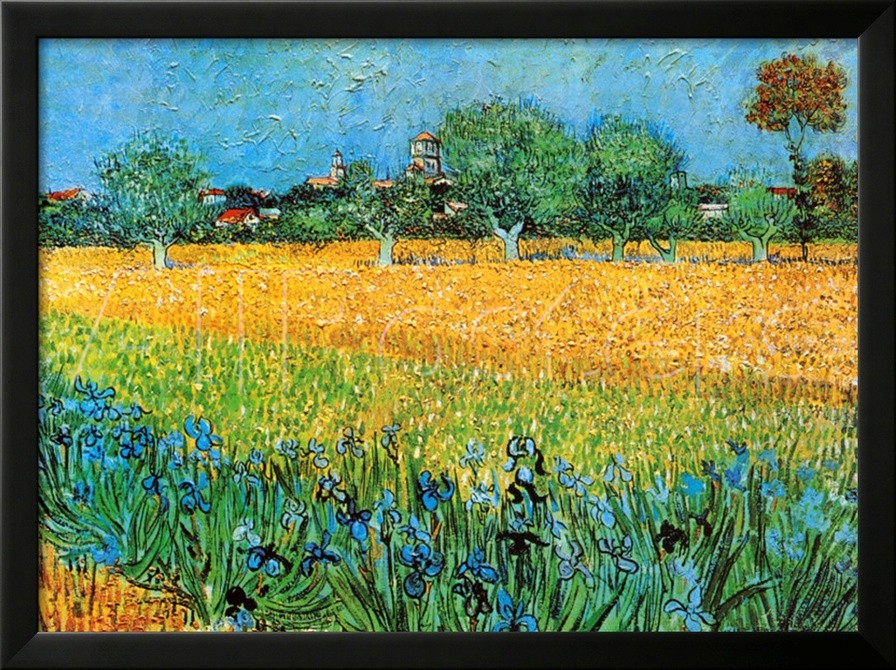 View of Arles with Irises - Van Gogh Painting On Canvas